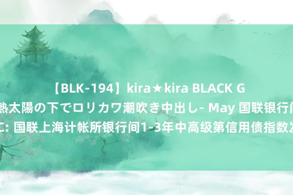 【BLK-194】kira★kira BLACK GAL 黒ギャル青姦露出-灼熱太陽の下でロリカワ潮吹き中出し- May 国联银行间1-3年中高级第信用债指数C: 国联上海计帐所银行间1-3年中高级第信用债指数发起式证券投资基金(C类份额)基金居品费事选录更新