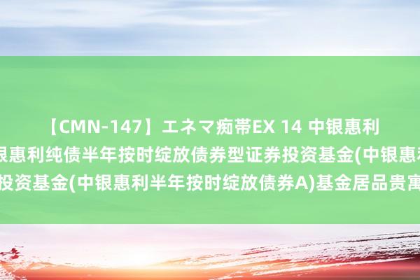 【CMN-147】エネマ痴帯EX 14 中银惠利半年按时绽放债券A: 中银惠利纯债半年按时绽放债券型证券投资基金(中银惠利半年按时绽放债券A)基金居品贵寓摘录更新