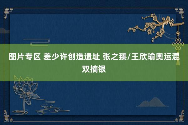 图片专区 差少许创造遗址 张之臻/王欣瑜奥运混双摘银