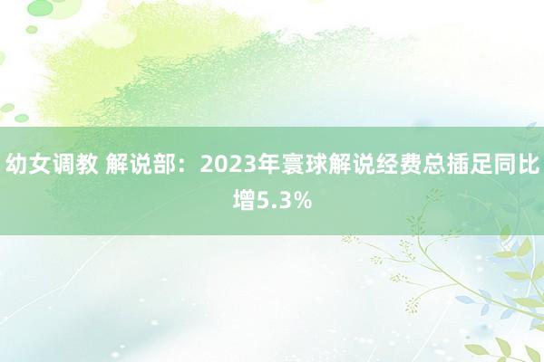 幼女调教 解说部：2023年寰球解说经费总插足同比增5.3%