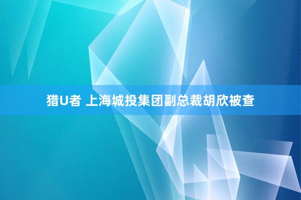 猎U者 上海城投集团副总裁胡欣被查