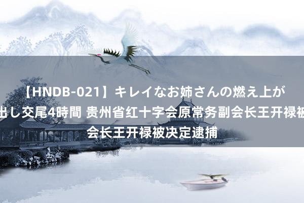 【HNDB-021】キレイなお姉さんの燃え上がる本物中出し交尾4時間 贵州省红十字会原常务副会长王开禄被决定逮捕