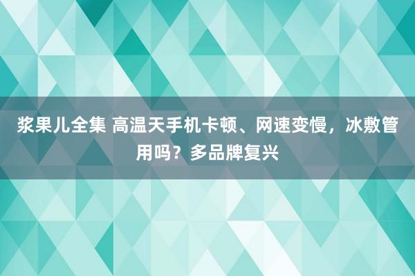 浆果儿全集 高温天手机卡顿、网速变慢，冰敷管用吗？多品牌复兴