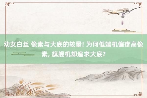 幼女白丝 像素与大底的较量! 为何低端机偏疼高像素， 旗舰机却追求大底?