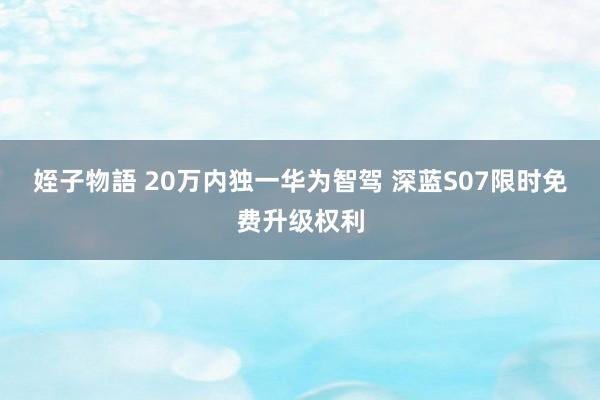 姪子物語 20万内独一华为智驾 深蓝S07限时免费升级权利