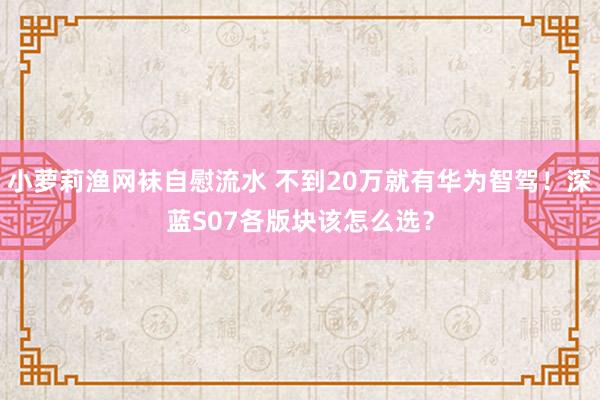 小萝莉渔网袜自慰流水 不到20万就有华为智驾！深蓝S07各版块该怎么选？