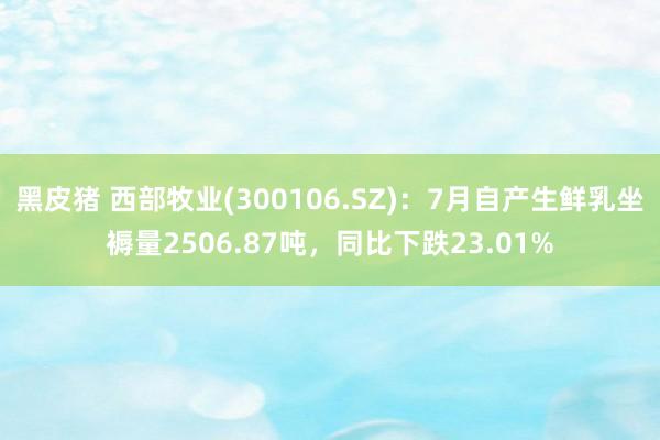 黑皮猪 西部牧业(300106.SZ)：7月自产生鲜乳坐褥量2506.87吨，同比下跌23.01%