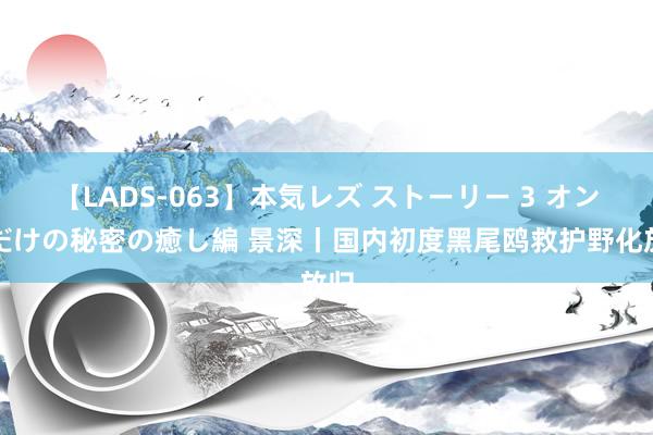 【LADS-063】本気レズ ストーリー 3 オンナだけの秘密の癒し編 景深丨国内初度黑尾鸥救护野化放归