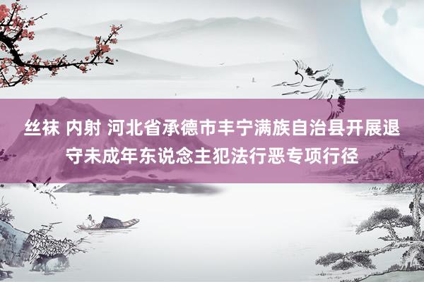 丝袜 内射 河北省承德市丰宁满族自治县开展退守未成年东说念主犯法行恶专项行径