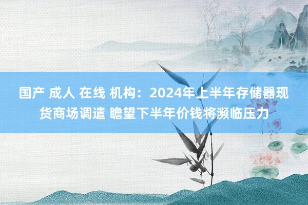 国产 成人 在线 机构：2024年上半年存储器现货商场调遣 瞻望下半年价钱将濒临压力