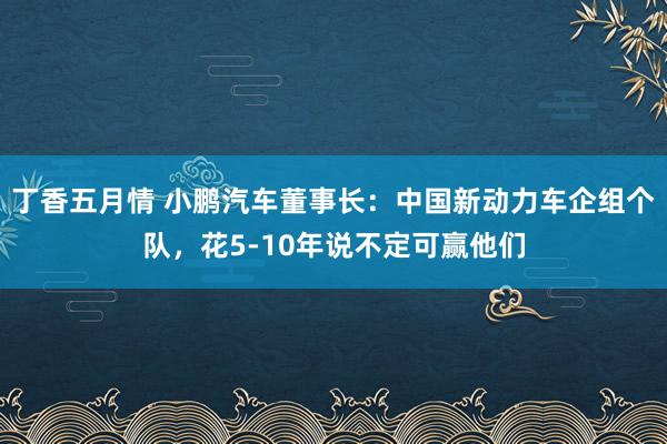 丁香五月情 小鹏汽车董事长：中国新动力车企组个队，花5-10年说不定可赢他们