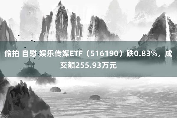 偷拍 自慰 娱乐传媒ETF（516190）跌0.83%，成交额255.93万元