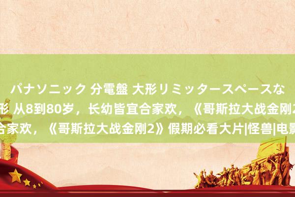 パナソニック 分電盤 大形リミッタースペースなし 露出・半埋込両用形 从8到80岁，长幼皆宜合家欢，《哥斯拉大战金刚2》假期必看大片|怪兽|电影