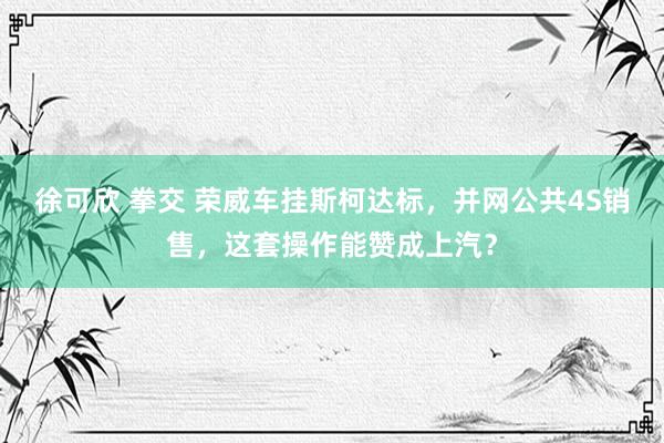 徐可欣 拳交 荣威车挂斯柯达标，并网公共4S销售，这套操作能赞成上汽？