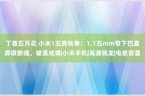 丁香五月花 小米1五亮铁拳：1.1五mm窄下巴直屏很断魂，破茧成蝶|小米手机|高通骁龙|电板容量